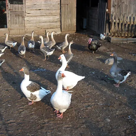 Casa di campagna Pasteral Rural La Cellera de Ter